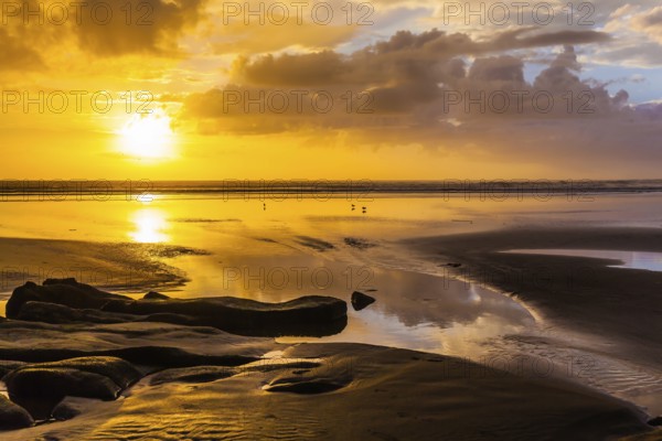 Concept of active and ecological tourism. Stunning sunset on the beach near Auckland. Coast of the North Island of New Zealand