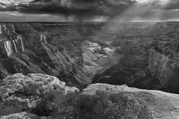Cape Royal Afternoon, North Rim of the Grand Canyon, Grand Canyon National Park, Arizona