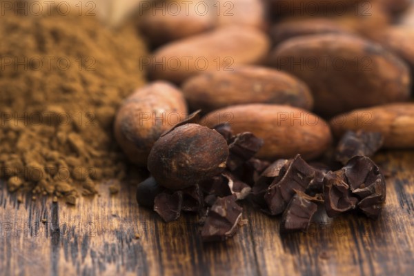 Cacao beans and cacao powder in spoon