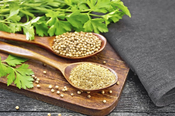 Coriander seeds and ground in two spoons, green fresh cilantro and a napkin on wooden board background