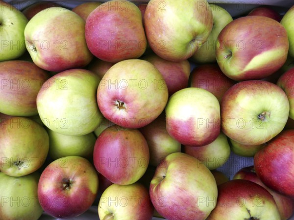 Apples in the sales box