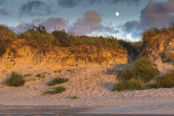 Sunset at the North Sea beach of Denmark with beautiful light on a summer day. Sunset at the North Sea beach of Denmark with beautiful light