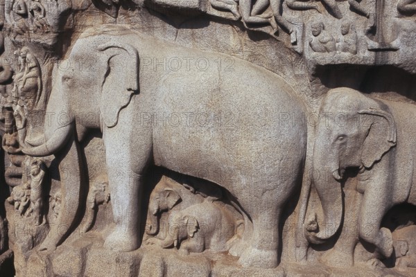 Close up of statue at Mamallapuram, Mahabalipuram, Tamil Nadu, India, Asia