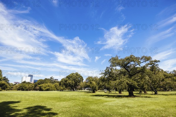 Shinjuku Gyo-en is a large park and garden in Shinjuku and Shibuya, Tokyo, Japan, Asia