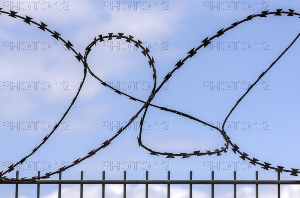 Barbed wire on the fence