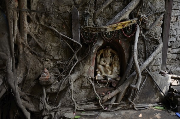 Deity in tree roots, Kolkata, West Bengal, India, Asia