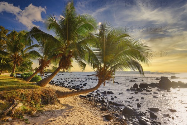 Island Mauritius, Indian Ocean, Africa, Mauritius, Africa
