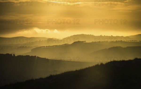 Beautiful Magic Hour Light Over Misty Rolling Hills