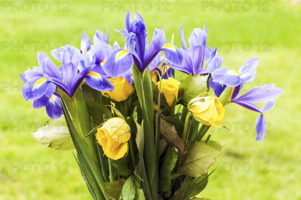 Bouquet of Spring Flowers