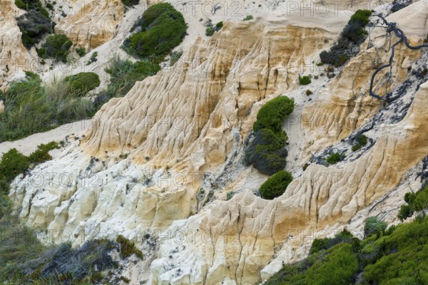 Badlans in the beach of Gale, Grandola, Portugal, Europe