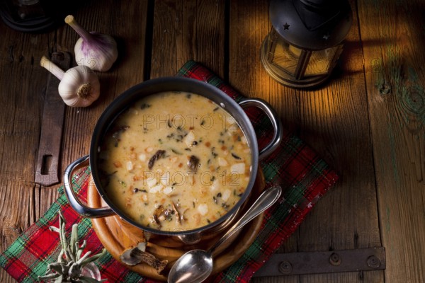 A christmas mushroom soup of polish style