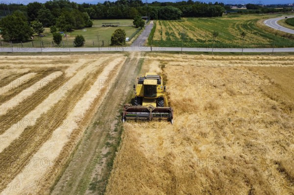 Harvesting scene in the italian countryside