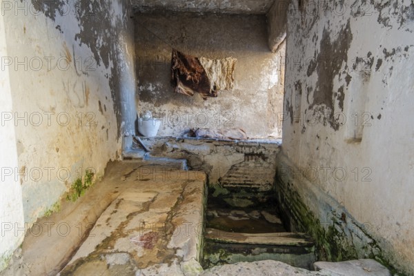 Tannery Tanks in Tetouan, Morocco for Dyeing Leather and clothing