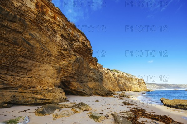 Fingal Beach as part of the Mornington Peninsula Coastal Walk on a warm winter's day near Gunnamatta Beach in Victoria, Australia, Oceania