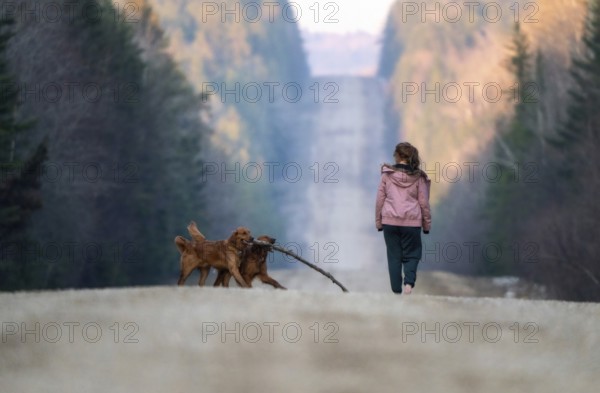 Walking Northern Saskatchewan Girl on a hike with dogs