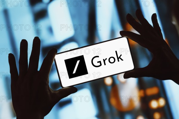 Grok is an artificial intelligence chatbot associated with the social network X, created by Elon Musk