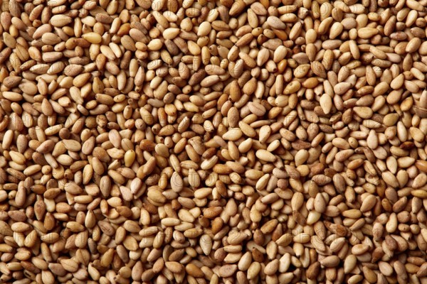 Sesame seeds texture macro detail background