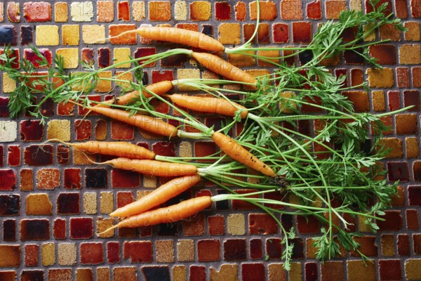Mini Carrot vegetables on a tiles table background