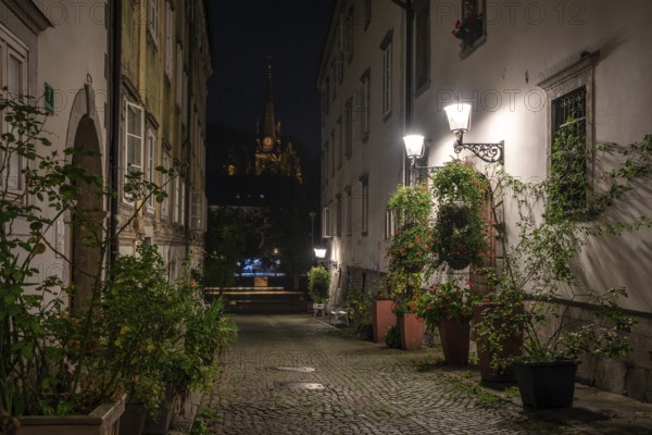 Scenic little Krizevniska alley in Ljubljana illuminated at night, arranged with plants at the sides, Slovenia, Europe