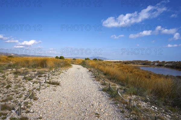 Prat Cabanes Torreblanca Natural Park in Castellon of Spain