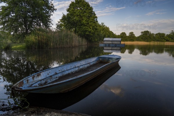 Fishing boat in the reeds