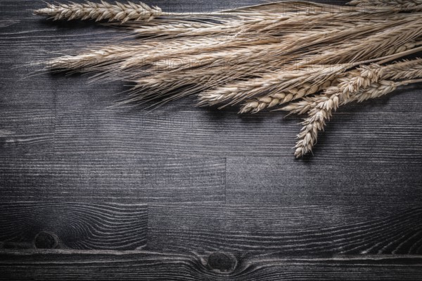 Wheat and rye ears on wooden board top view image