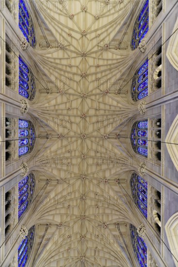 Saint Patricks Old Cathedral or Old St. Patricks, Lower Manhattan, Impressive symmetrical vaulted ceiling in Gothic style, Manhattan, New York City, New York, USA, North America