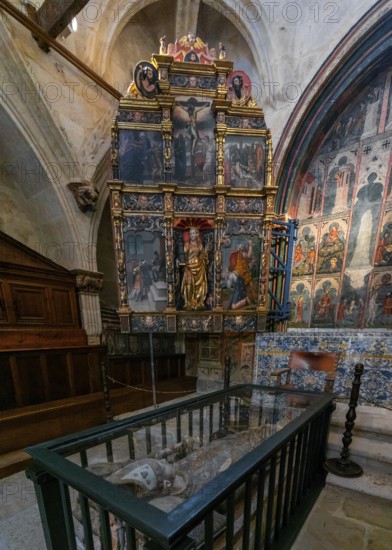 Salamanca, Spain, 9 April, 2024: detail view of the Santa Barbara Chapel in the Cathedral of Salamanca, Europe