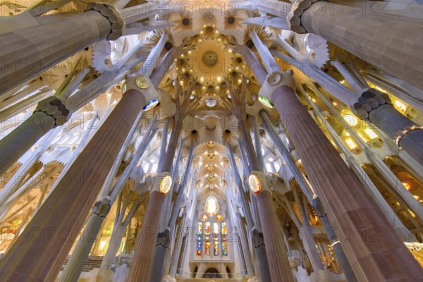 The interior of Sagrada Familia (Church of the Holy Family), the cathedral designed by Gaudi in Barcelona, Spain, Europe