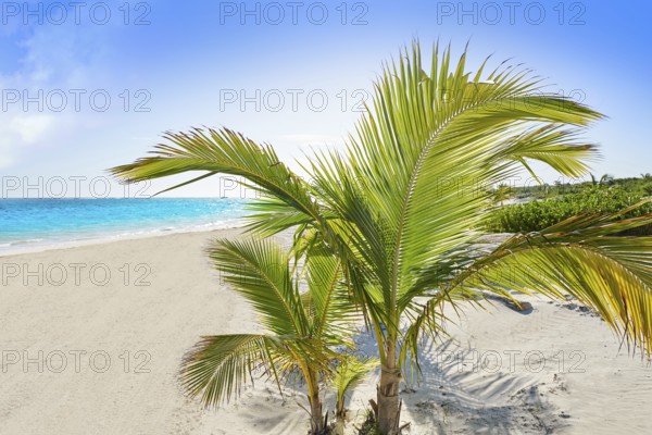 Riviera Maya Caribbean beach turquoise in Mayan Mexico