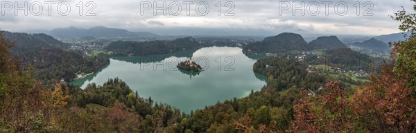 Peaceful view on lake Bled and the island with its pilgrimage church Assumption of Mary, The Slovenian Alps
