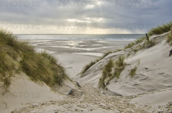 Dunes at the Beach of Amrum, Germany, Europe