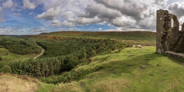 North York Moors landscape, looking over Newtondale with Skelton Tower on the right, seen from the Levisham Moor, North Yorkshire, England, UK