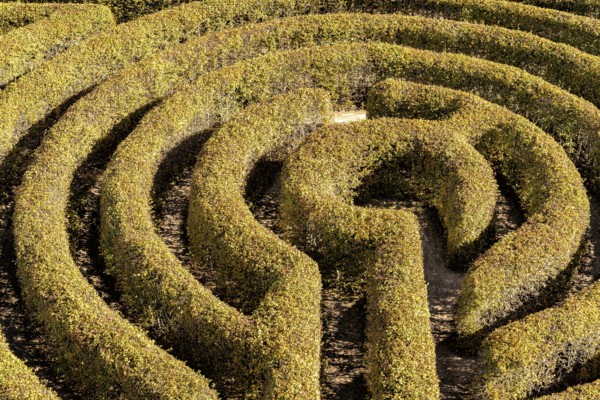 Labyrinth in a botanical garden in Poland