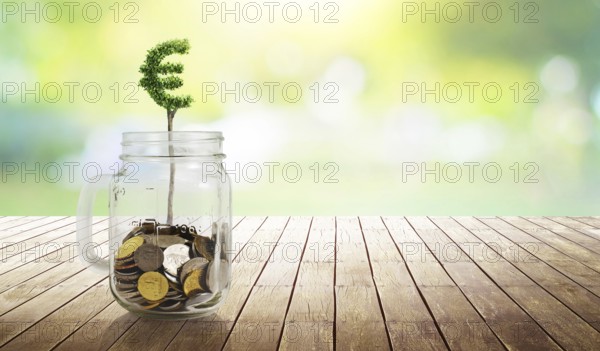 Coins in the glass with Euro shape plant growing, savings, growing, investment, retirement and education concept