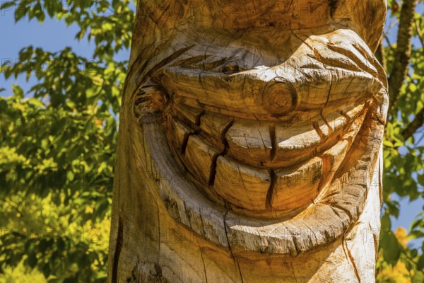 Boeun-gun, South Korea, September 13, 2019: Closeup of smile of Korean jangseung (village guardian) on display in wooded public park, Asia