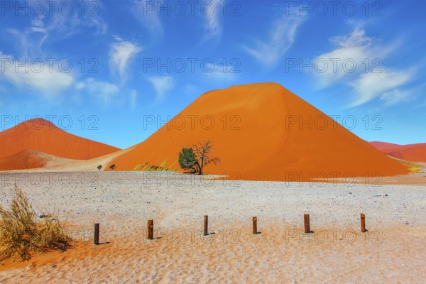 Namib Naukluft desert. Grand trip to Africa. Dead lake Sussussflay. Majestic huge orange dunes. Grandiose paintings of sand dunes. The concept of active, exotic, extreme and photo tourism