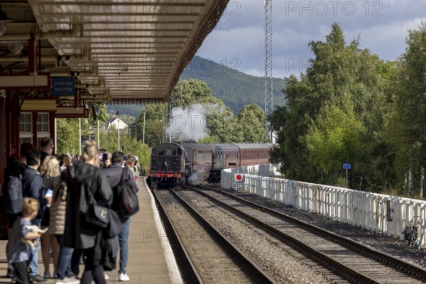 Strathspey railway historic steam train, Aviemore, An Aghaidh Mhór, Highlands, Scotland, Great Britain