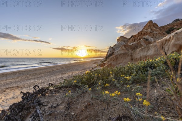 The golden sandy beach of Praia da Falésia with its characteristic orange-coloured cliffs, landscape shot in the evening at sunset on the cliffs in the Algarve, Portugal, Europe