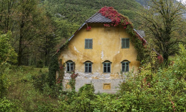 Old abandoned house, Bav?ica Valley in Triglav National Park, Bovec, Julian Alps. Slovenia, Central Europe