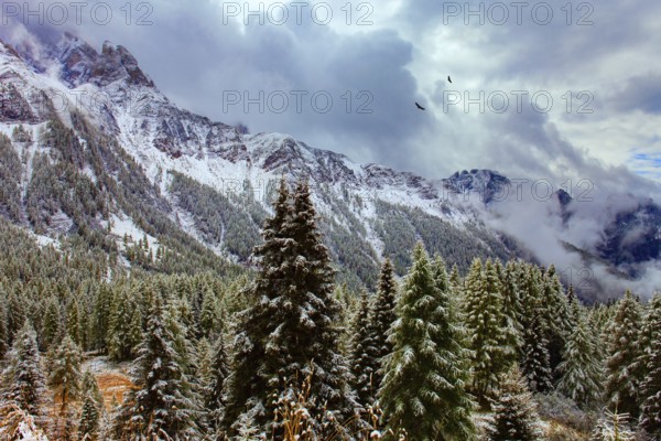 Italy. Passo Rolle. The famous picturesque pass in the Dolomites. First snow on mountain peaks. Autumn trip to the Italian Alps. Evergreen spruces and pines are covered with the first snow