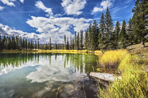 The small superficial lake is surrounded with a coniferous forest. The smooth surface of water reflects the cloudy sky. Autumn day in Jasper National Park in the Rocky Mountains in Canada