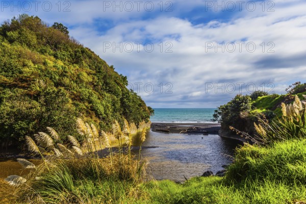 Fjord between wooded hills. Picturesque Pacific coast. North Island, New Zealand. The concept of ecological, active and phototourism