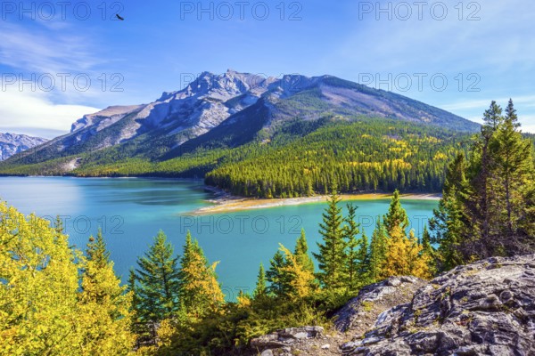 The lake with turquoise water is surrounded by coniferous forests. Lake Two Jack in the Rocky Mountains of Canada. The concept of ecological and active tourism