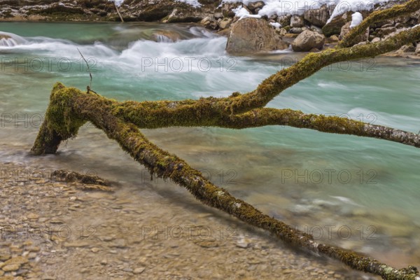 At the Rissbach in winter
