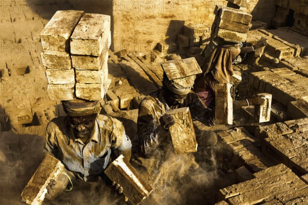 Worker carrying bricks on head in factory, India, Asia