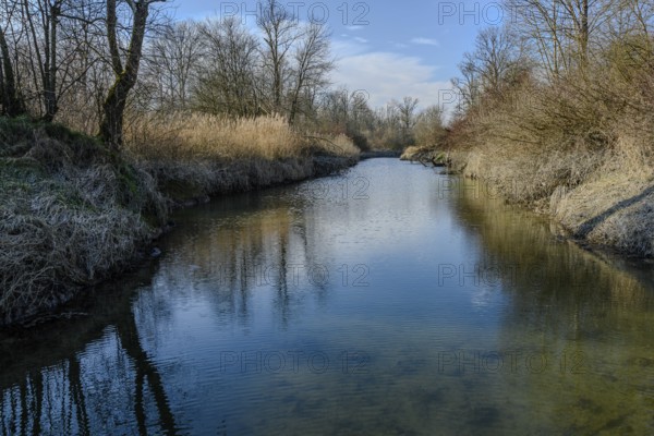Clear water of a river with reflection of trees and sky in quiet surroundings, Isar floodplains