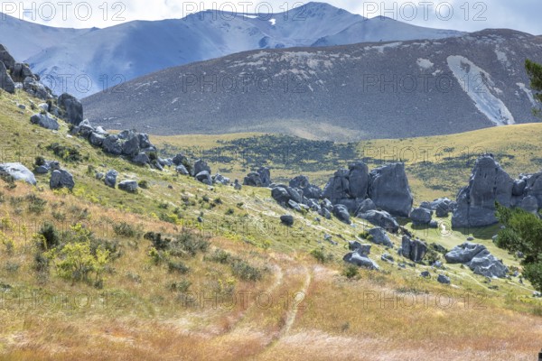 An image of a landscape scenery in south New Zealand