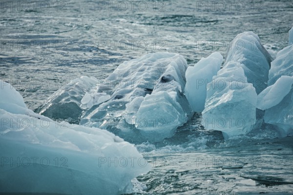 Floating icebergs in the ocean creating a cold, natural scene with a blue hue, iceberg, glacier, snow, ice rock, ice diamont, glacier lagoon, nature, snow, Iceland, Europe