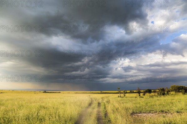 Rain clouds over savannah. Safari - tour to the famous Kenyan reserve Amboseli National Park, Kenya. The concept of exotic, ecological and phototourism